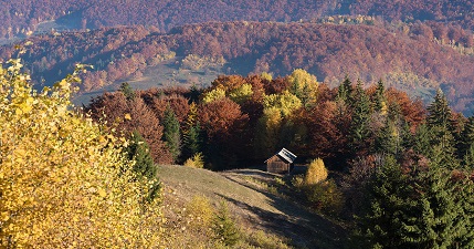 PICCOLI BORGHI: BANDO A FAVORE DELLE IMPRESE